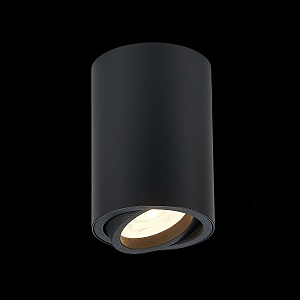 Потолочный светильник ST-Luce Torus ST108.407.01 - фото и цены