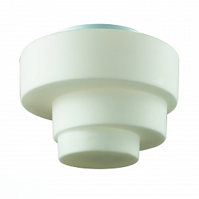 Светильник настенно-потолочный ST-Luce BAGNO SL499.502.01 - фото и цены