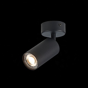 Потолочный светильник ST-Luce ST303.402.01 - фото и цены