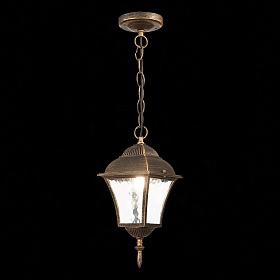 Светильник уличный подвесной ST-Luce DOMENICO SL082.203.01 - фото и цены