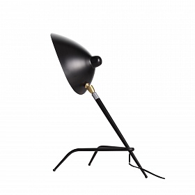 Настольная лампа ST-Luce SPRUZZO SL305.404.01 - фото и цены