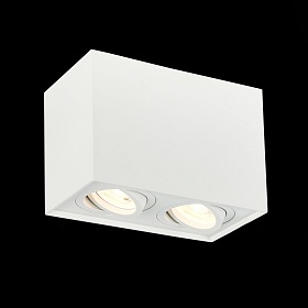 Потолочный светильник ST-Luce Quadrus ST109.507.02 - фото и цены