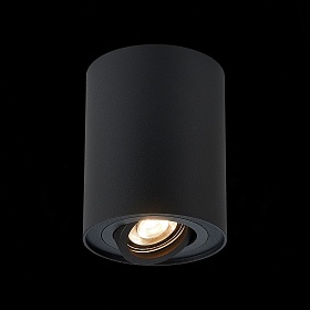 Потолочный светильник ST-Luce Torus ST108.417.01 - фото и цены