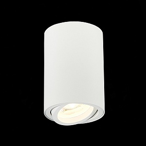 Потолочный светильник ST-Luce Torus ST108.507.01 - фото и цены