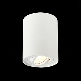 Потолочный светильник ST-Luce Torus ST108.517.01 - фото и цены